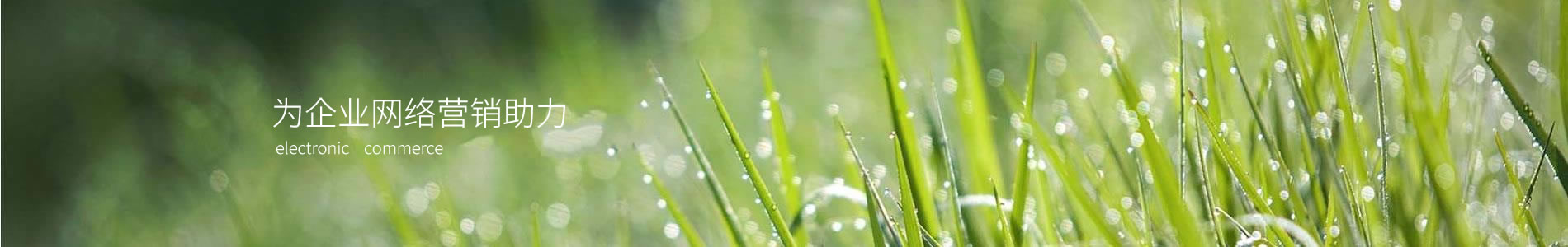 ٹũҵƼ޹˾